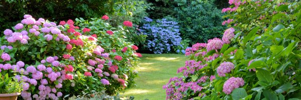 therootquencher Profile Banner