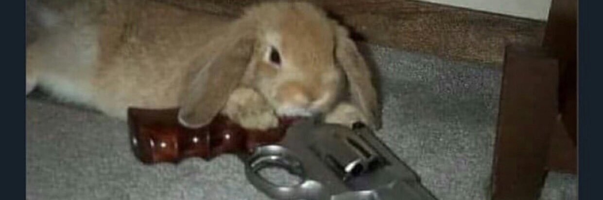 trapmama69's profile banner image