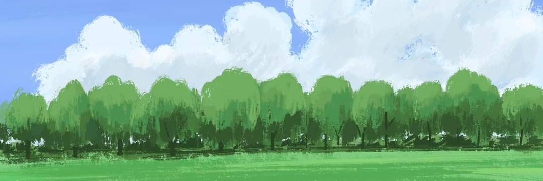 nunitwit's profile banner image