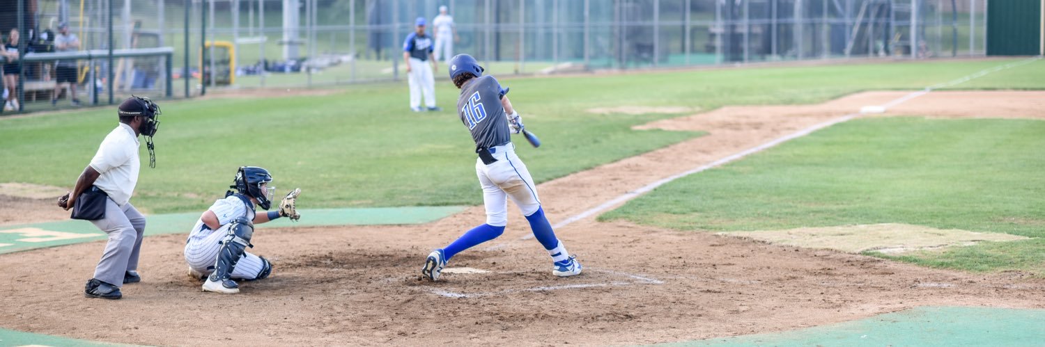 Walker Steele banner