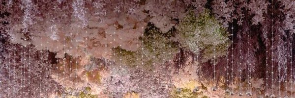 ciwpunk Profile Banner