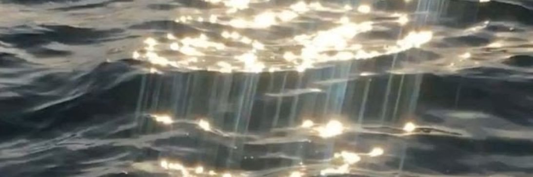 𝒩. banner