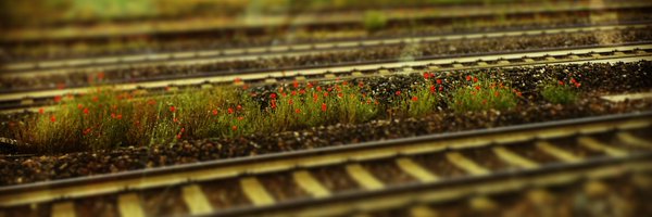 rohrkemper Profile Banner