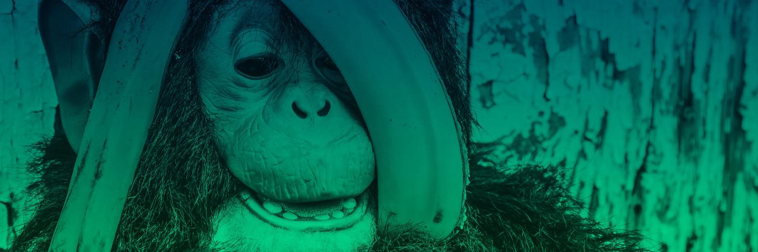 RogierWesterink's profile banner image