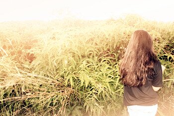Annsymutia's profile banner image