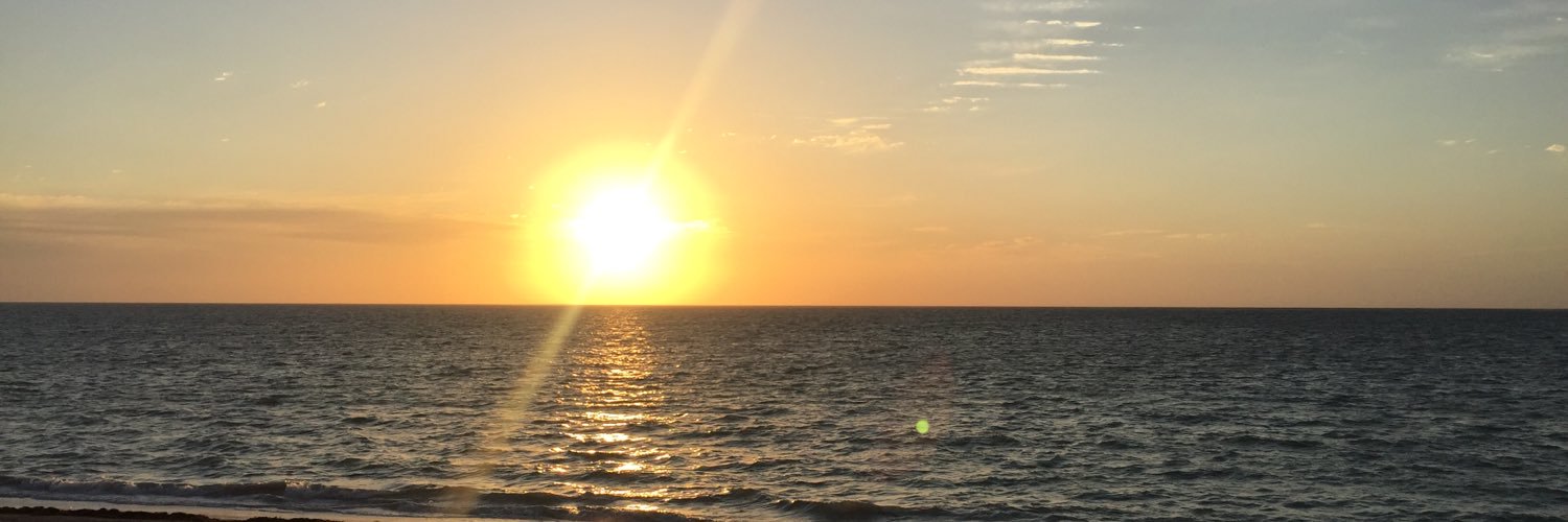 Neil Carter 🇬🇧 banner