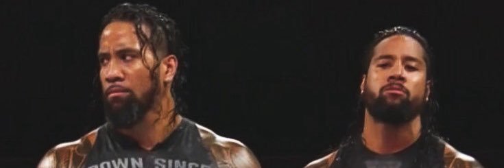ᴊᴀɴᴇʟʟᴇ ❤︎'s banner