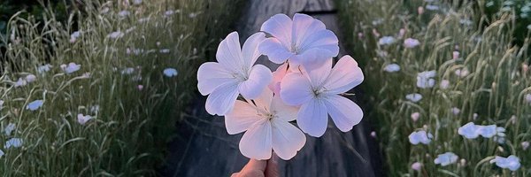 begood317 Profile Banner