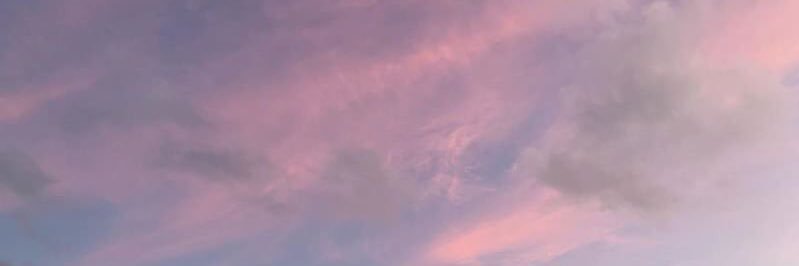 vaniavey's profile banner image