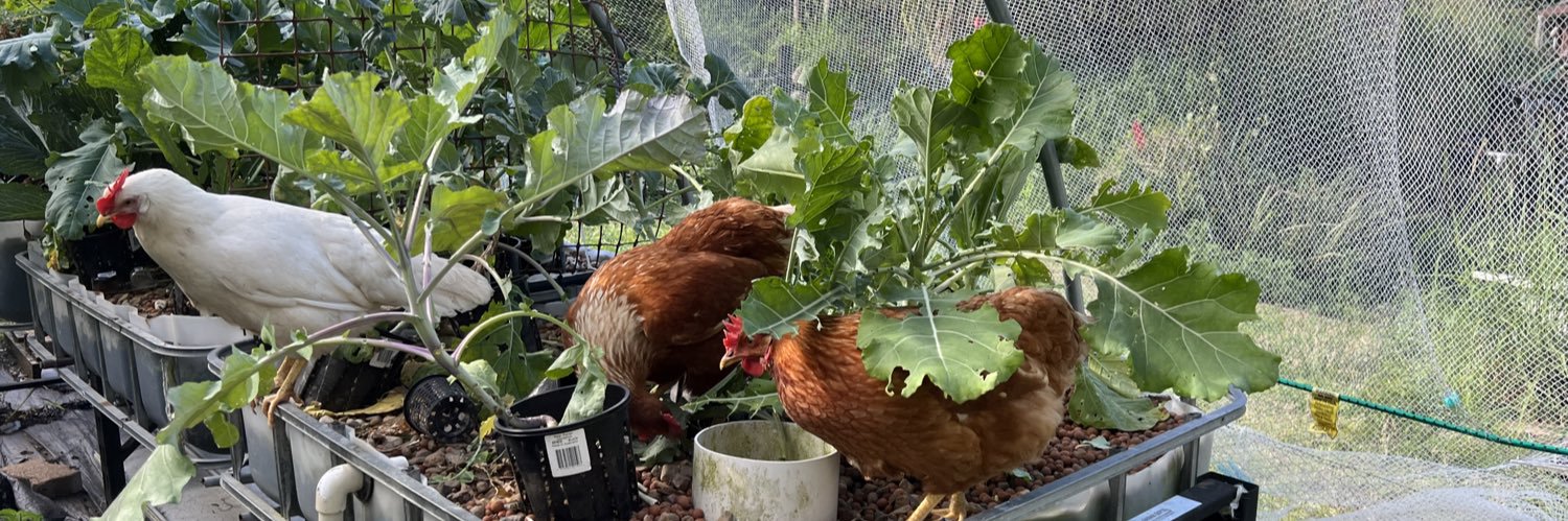 autohomestead's profile banner image