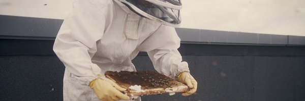 InnerCityBee8 Profile Banner