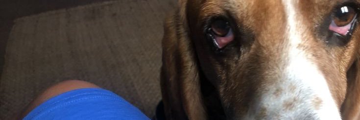 BelarJones's profile banner image