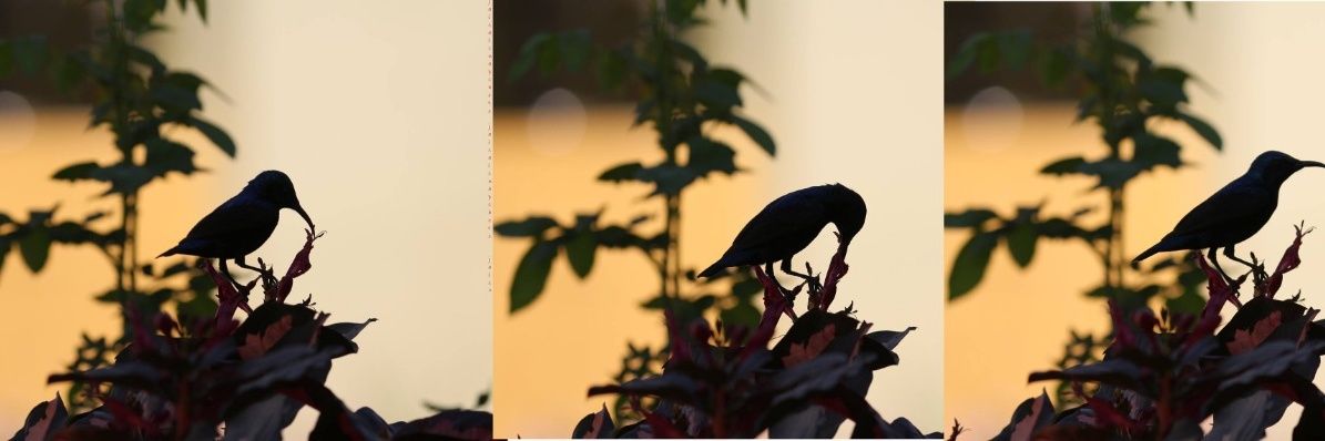 mjaisal2's profile banner image