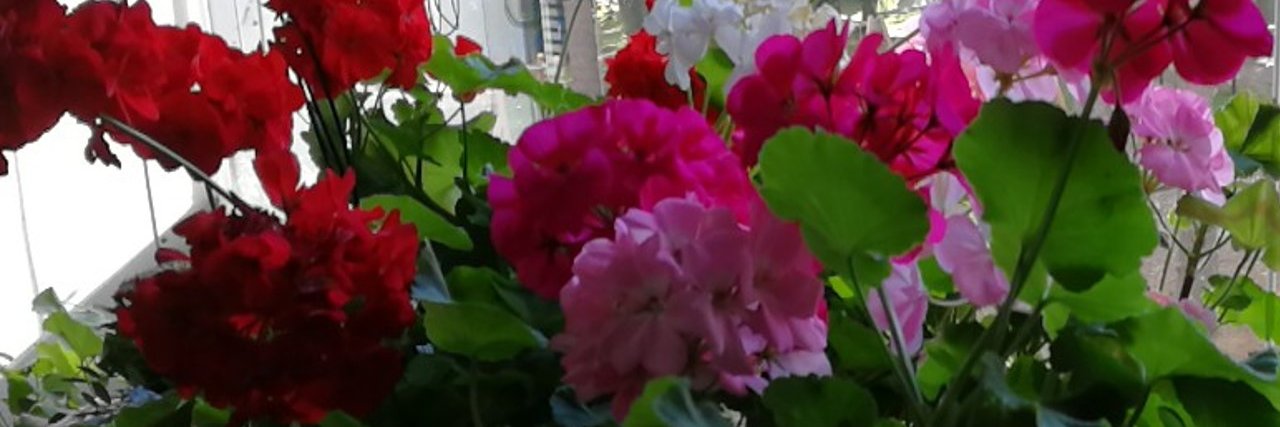minimerkki's profile banner image