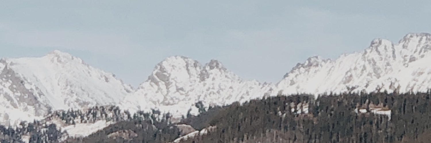 sheila ☆ banner