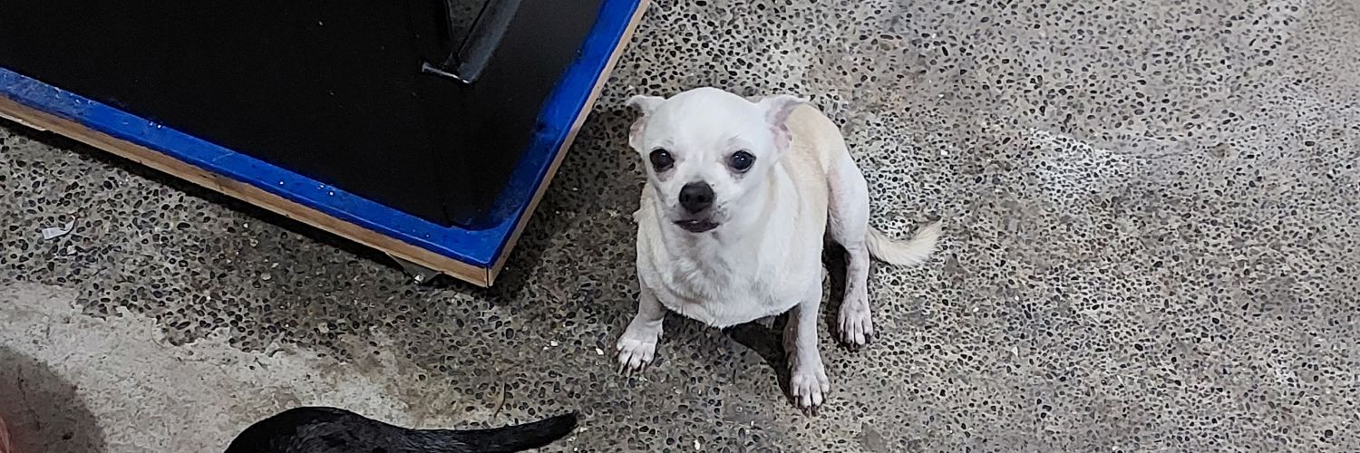 geeeeeeeeelo's profile banner image