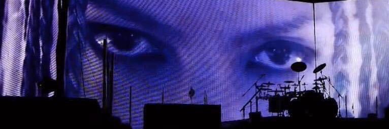 Alex banner