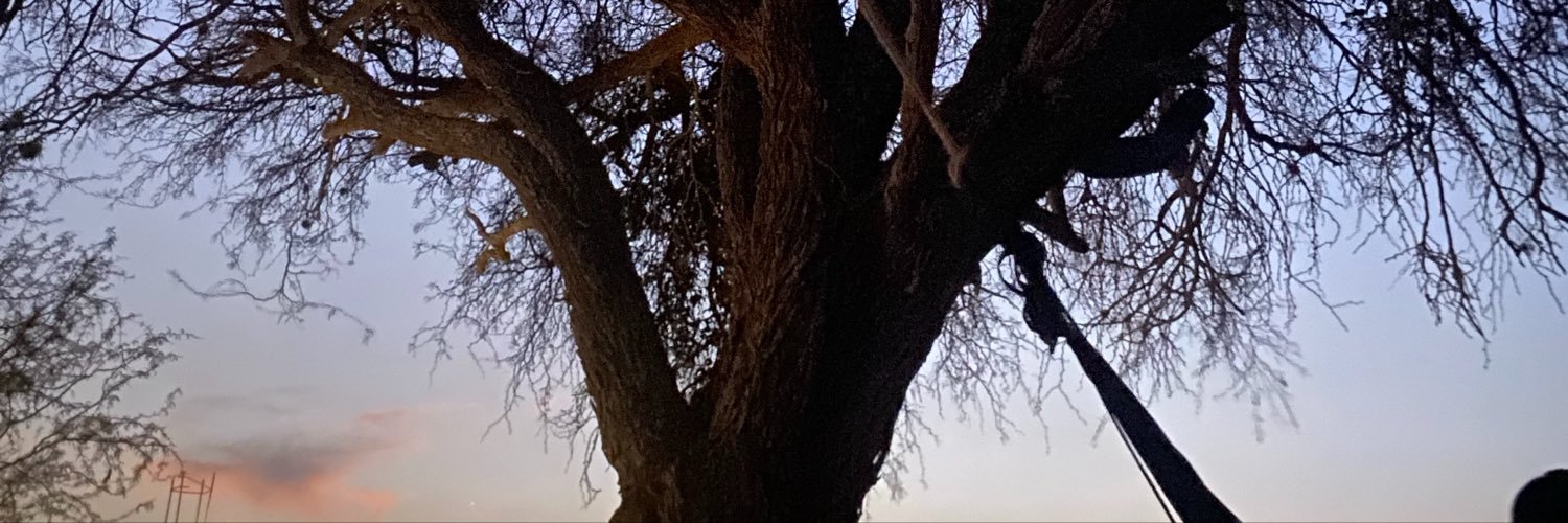 vickyrocxs's profile banner image