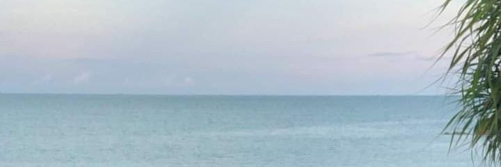 (っ◔◡◔)っ ♥ 𝐌𝐢𝐚𝐮𝐰𝐮𝐰 ♥ banner