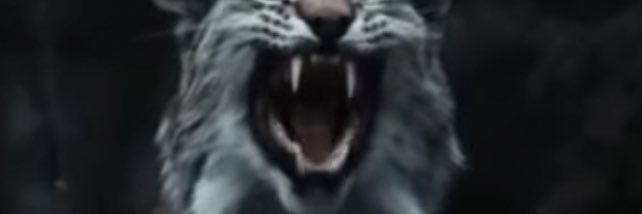 Mughees banner