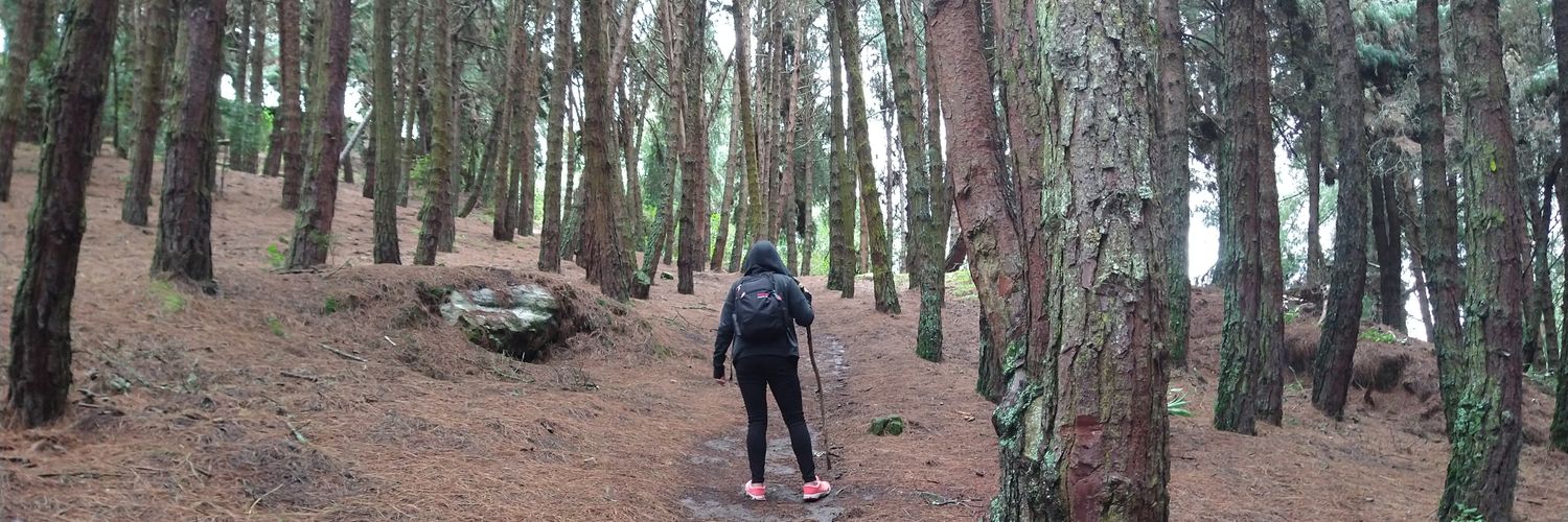 GinaV008's profile banner image