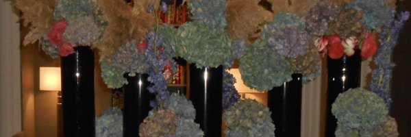 joeyiscultured Profile Banner