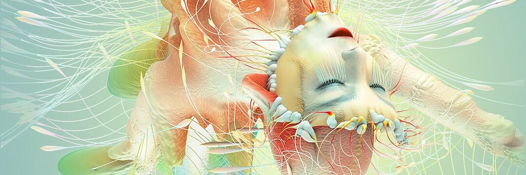 raimeNL's profile banner image