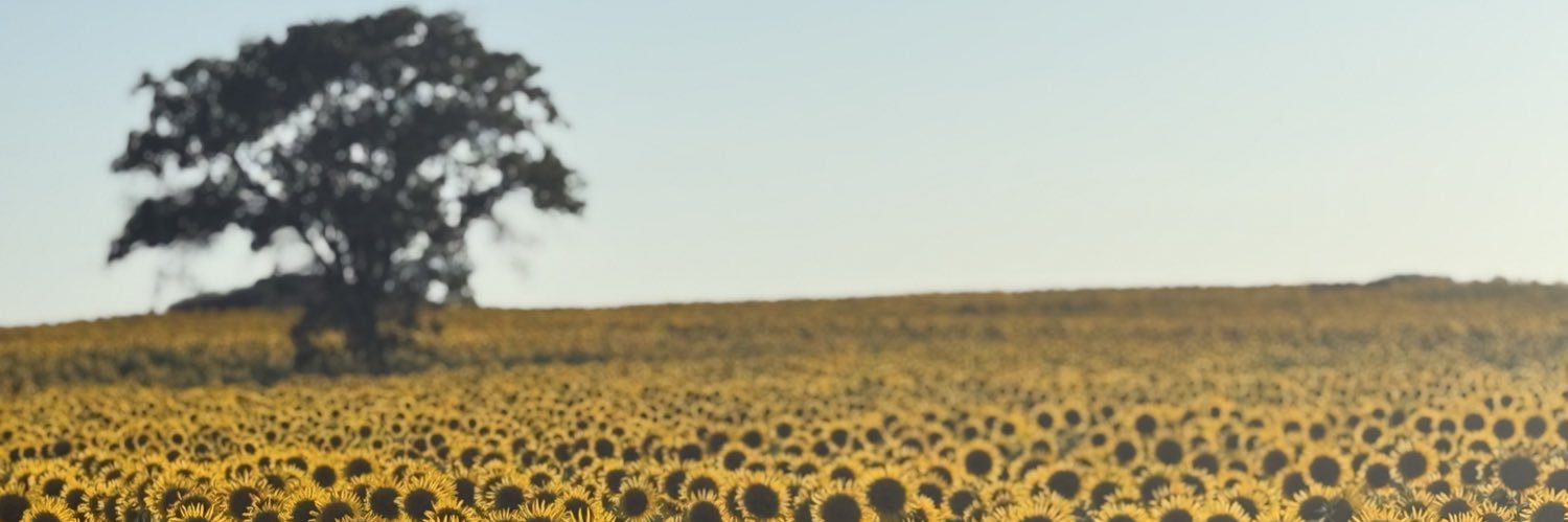 kayemr73's profile banner image