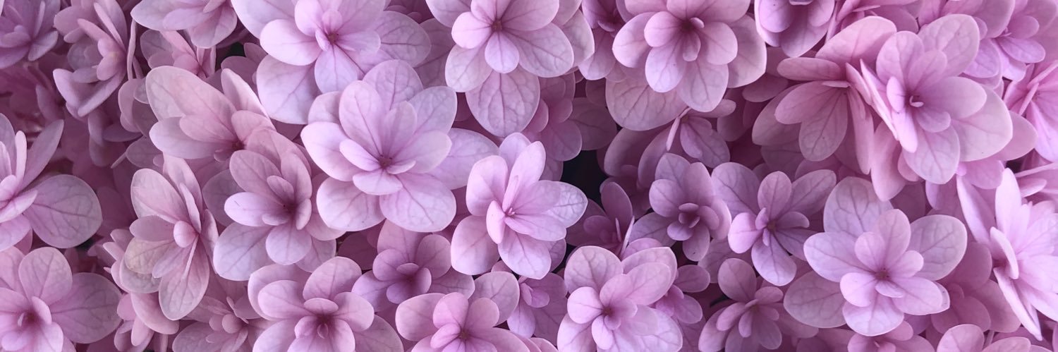 🍚 🌈✨_ai_✨🌈 🍚 banner
