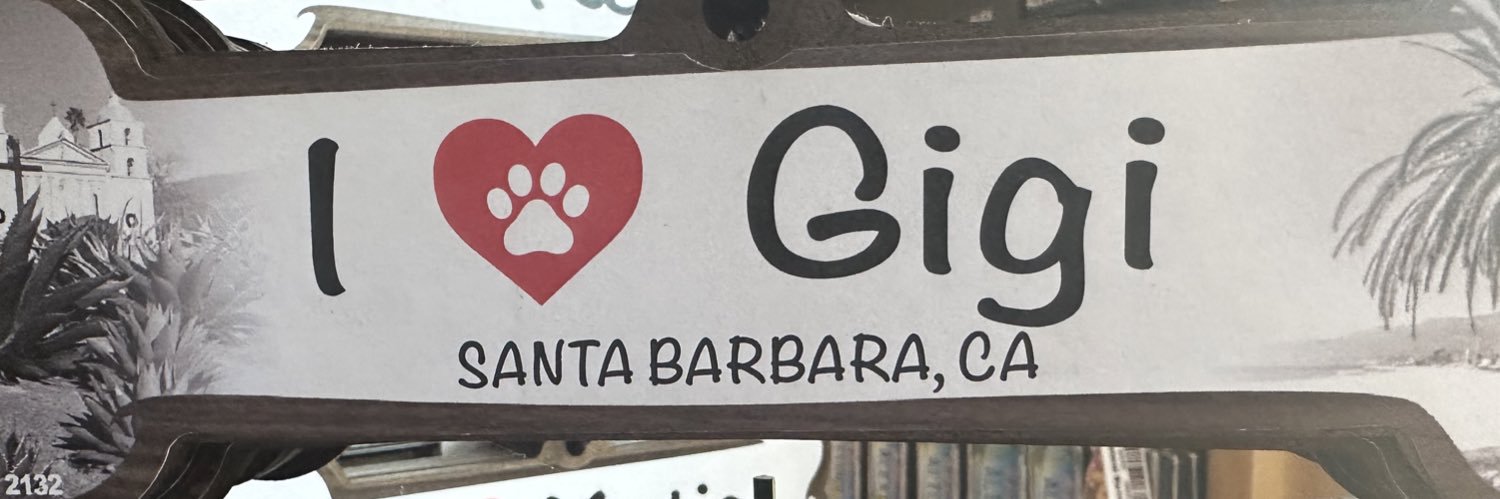 gigi zol banner