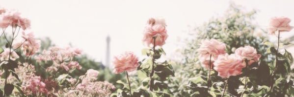 g♡ banner