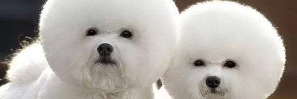 maaaaary11's profile banner image