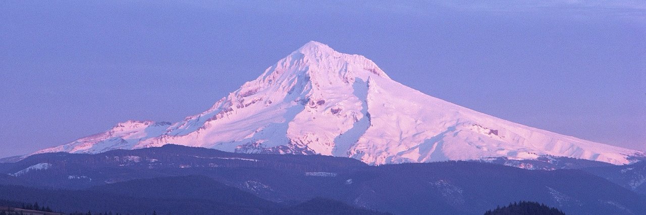 Jon Gallagher banner