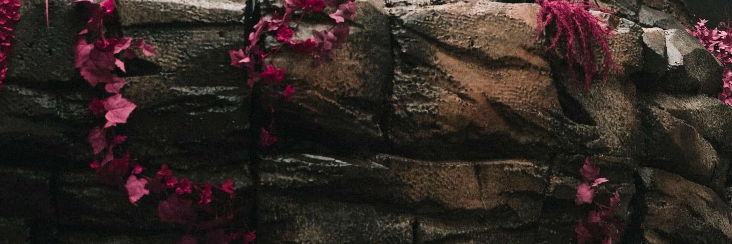 Chrisss⁷⊙⊝⊜ᵇᵉˡᵒⁿᵍˢ ᵗᵒ ᵇᵗˢ🥢 banner