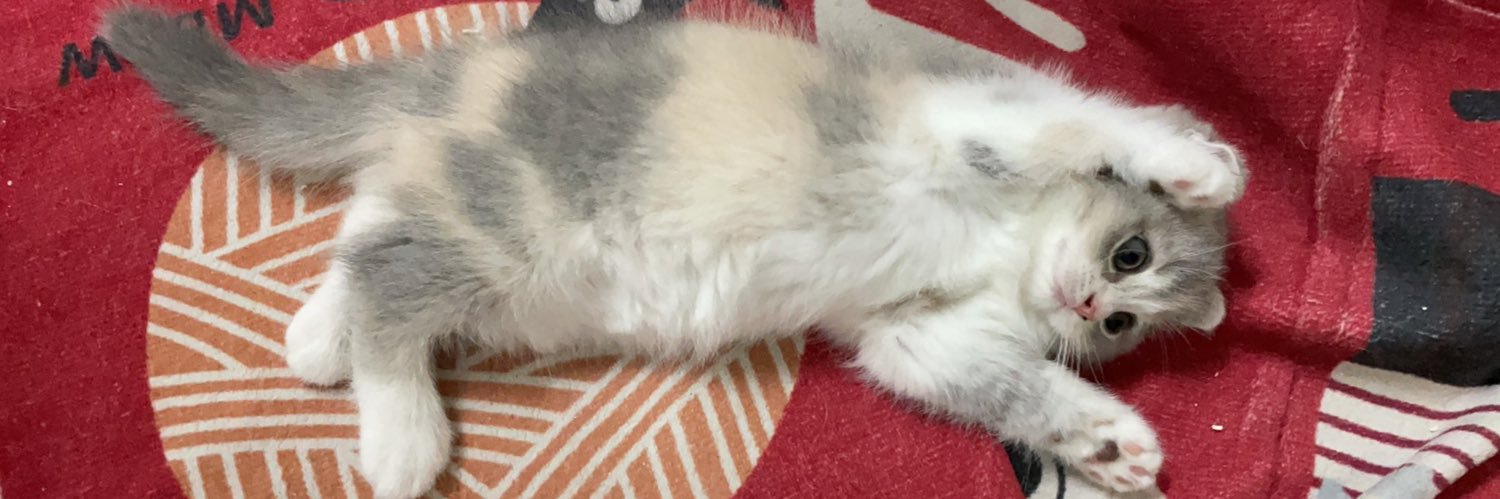 Mugitea TheCAT🐱🧋🍵 banner