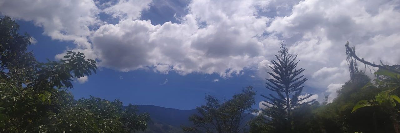 angelita_pixie's profile banner image