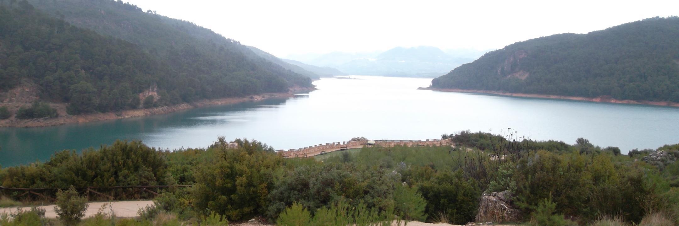 César Gf Rivero banner