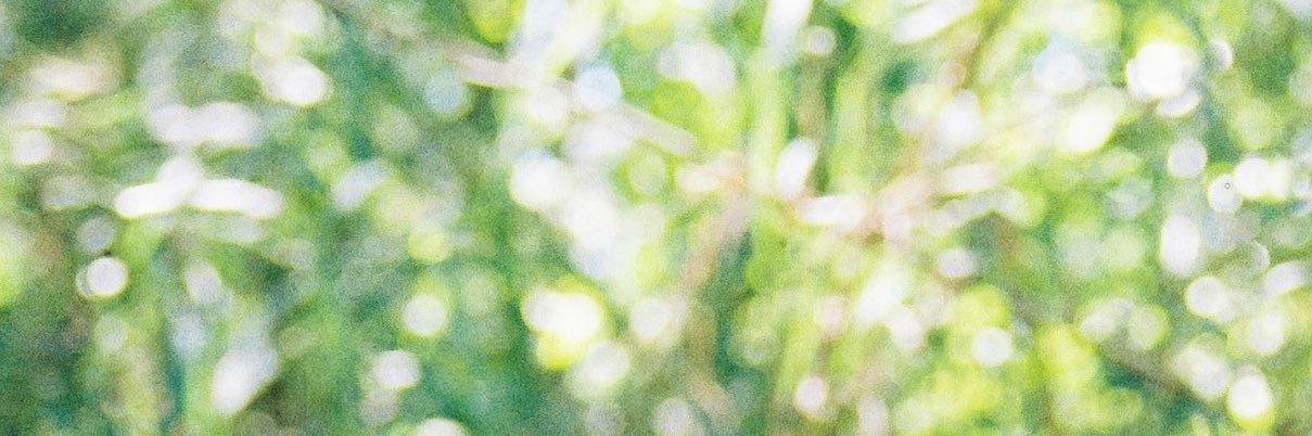 BIG WOAH's banner
