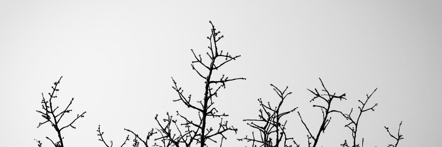 philreither's profile banner image