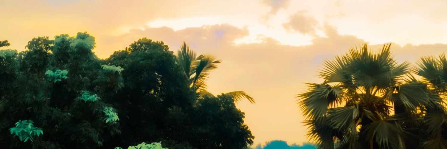 Lsshakil's profile banner image