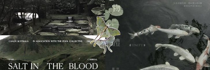 yza banner