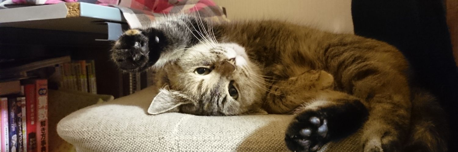 8kittens_nap's profile banner image