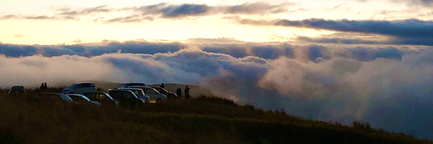 ビスコ 。 banner