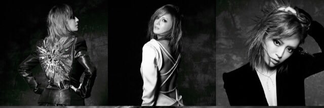 yukimomogo's profile banner image