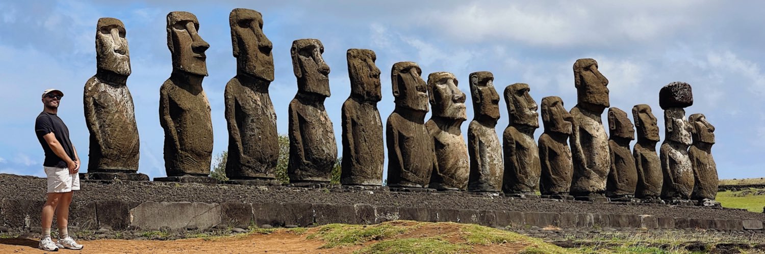 Mario Martin Labrador banner