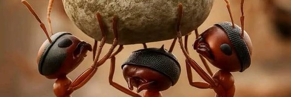 BolokoleM Profile Banner