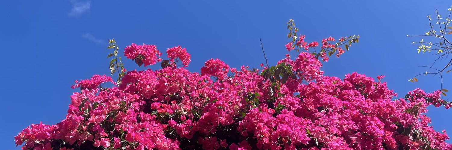ninasrn's profile banner image