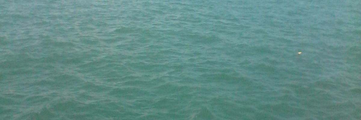 Sanchezjas's profile banner image