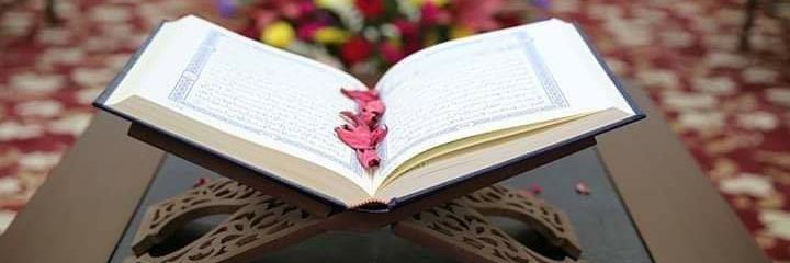 Mostafaelsehity's profile banner image