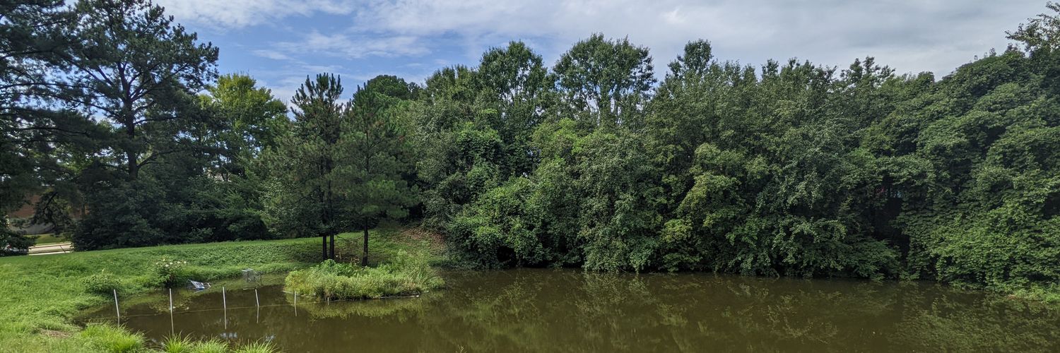 MollyELandon's profile banner image